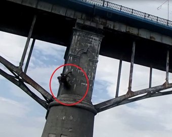 Паук-монстр живет под Старым мостом в Самаре