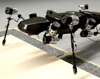 Ученые представили робота, предназначенного для освоения других планет
