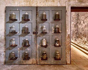 В Италии открылся музей экскрементов