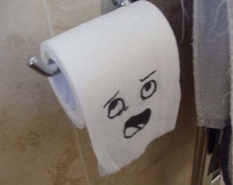 Подросток через Twitter «заказал» туалетную бумагу в уборную поезда 