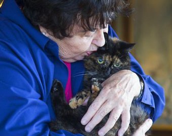 В США умерла самая старая кошка в мире
