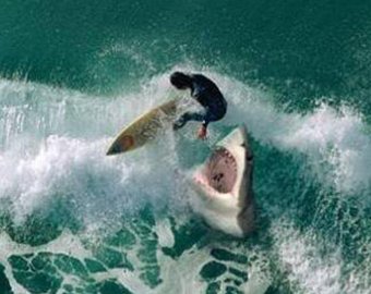 Акула атаковала чемпиона мира по серфингу во время соревнований