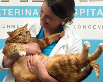 Техасский кот похудел на 10 килограммов
