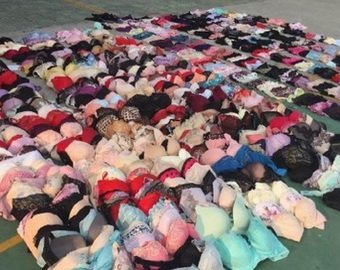 Арестован китаец, укравший 500 пар женского белья с помощью удочки