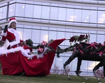 Санта с оленями-роботами прославились в интернете