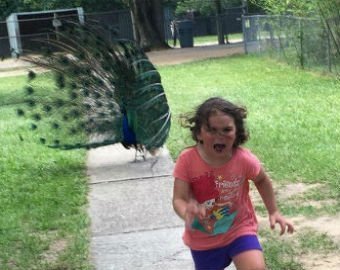 Пугливая девочка стала звездой интернета