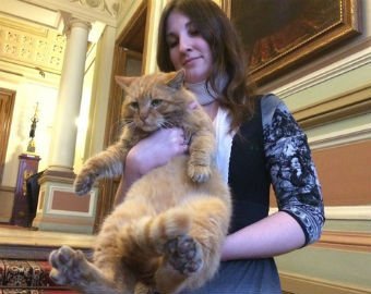 Интернет-магазин ищет кота-менеджера для продажи "милоты"