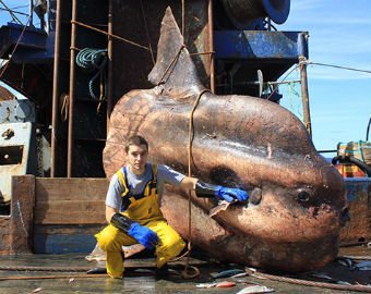 Страшные снимки моряка из России шокировали интернет