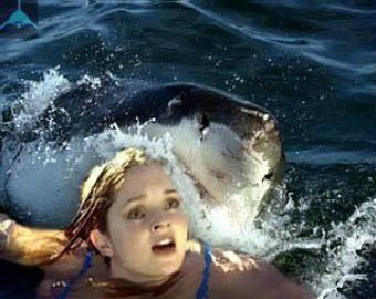 Коптер снял атаку акулы на женщину