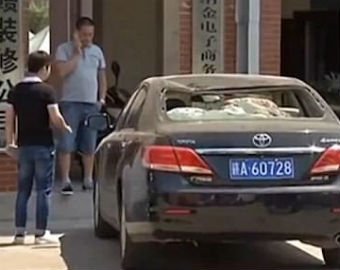 Черепаха разбила автомобиль в Китае (ФОТО)