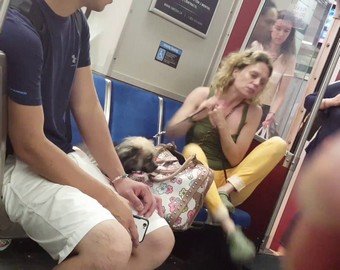 Женщина искусала собаку в метро