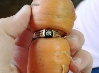 Потерянное кольцо нашлось на морковке 13 лет спустя