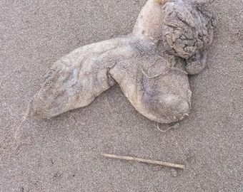 Выяснено происхождение загадочного существа с английского пляжа