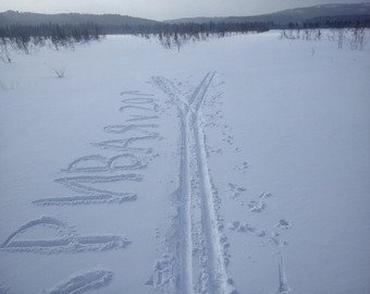 В Казани задержали "лыжников", которые делали "закладки" амфетамина