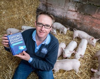 Британец требует на законодательном уровне запретить оскорблять свиней