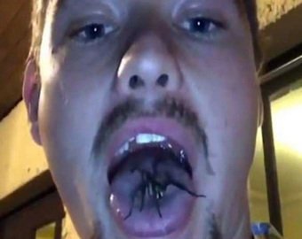 Молодой человек спрятал во рту паука и распугал интернет-пользователей