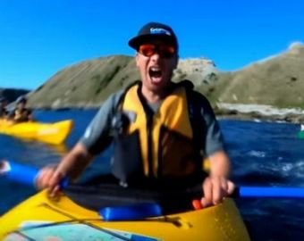 Тюлень швырнул осьминога в каякера и попал на видео