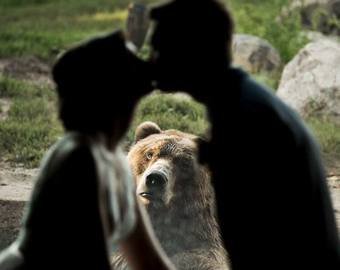 «Ревнующий» медведь на свадьбе расстрогал пользователей Сети