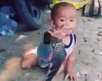 В Сети набирает популярность видео с младенцем, играющим с ядовитой змеей
