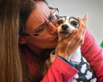 Пропавшая 12 лет назад собака воссоединилась с хозяйкой