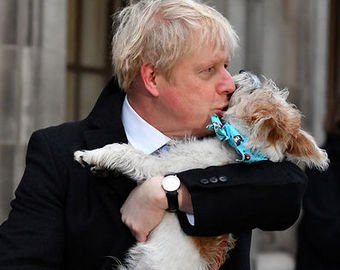 Борис Джонсон пришел на избирательный участок с собакой