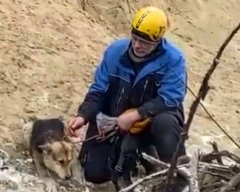 Альпинисты эвакуировали собаку с обрыва