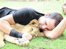 Защитник больших кошек опубликовал видео с поцелуем от пантеры