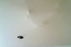 Кот проломил потолок