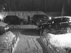 Киллера с собачкой ищут по видео