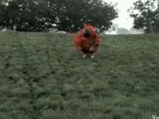 В Сан-Франциско размотали огромный клубок с человеком внутри