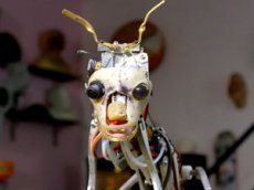 Ученые создают роботов-шпионов для слежки за животными