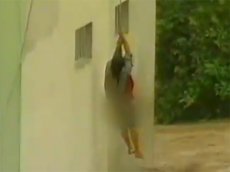 Наводнение в Бразилии: чтобы спастись, женщина пожертвовала собакой