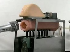 Роборот приехал на выставку Robotech 2011