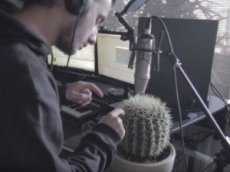 Немецкий диджей записал песню с помощью кактуса