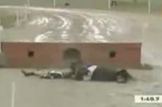 Лошадь убила наездника во время заезда с препятствиями