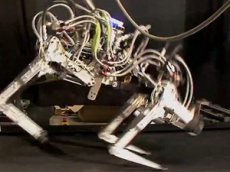 Робот-гепард установил мировой рекорд скорости бега