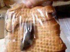 Волгоградец купил в магазине батон с живой мышью