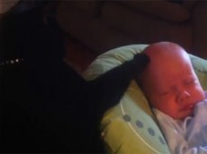 Кот утешает младенца