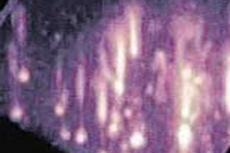 Физики сняли на видео загадочного обитателя ионосферы Земли