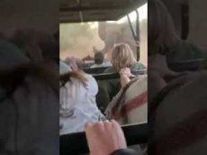 Погоня разъяренного слона за туристами попала на видео