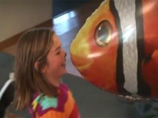 Летающие рыбы стали хитом на YouTube