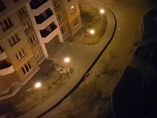 Пособие по борьбе с бездомными собаками стало хитом интернета