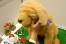 Японцы создали самую реалистичную собаку-робота