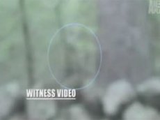 Ученые записали крик йети