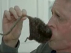 В Великобритании разрешили рекламу с дохлой крысой