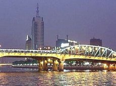 Пенсионер столкнул с моста самоубийцу