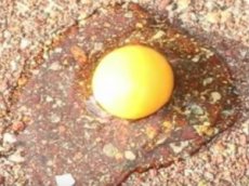 Как приготовить яичницу в Австралии