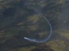 "Реактивный человек" совершил две мертвых петли на новом летательном аппарате