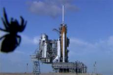 Гигантский паук напал на космический челнок