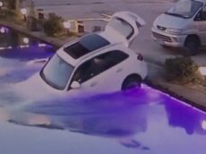 Собака утопила авто хозяина в пруду